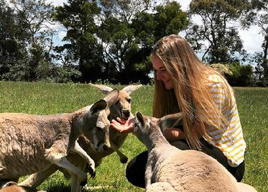 Student with kangaroos